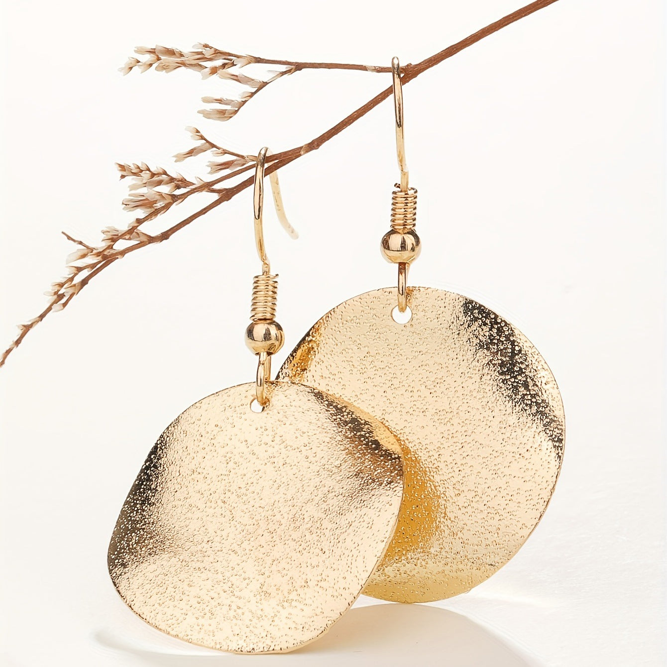 Women's Jewelry Shaped Coin Circle Earrings Simple Fashion Women's Earrings